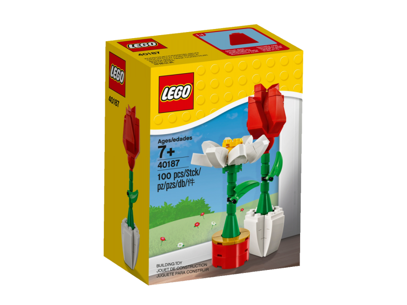 LEGO Květinová výstava 40187