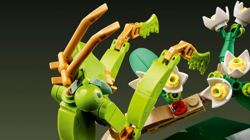 LEGO® Ideas 21342 Sbírka hmyzu