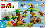 LEGO® DUPLO® 10973 Divoká zvířata Jižní Ameriky